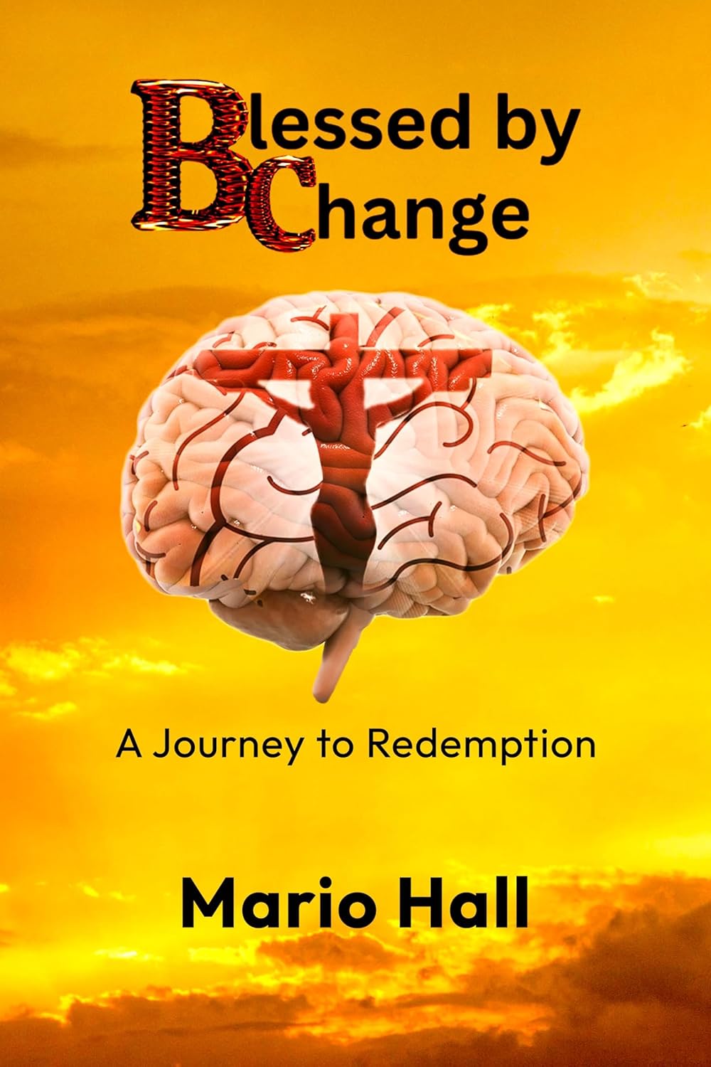 Blessed by Change book cover by Mario Hall